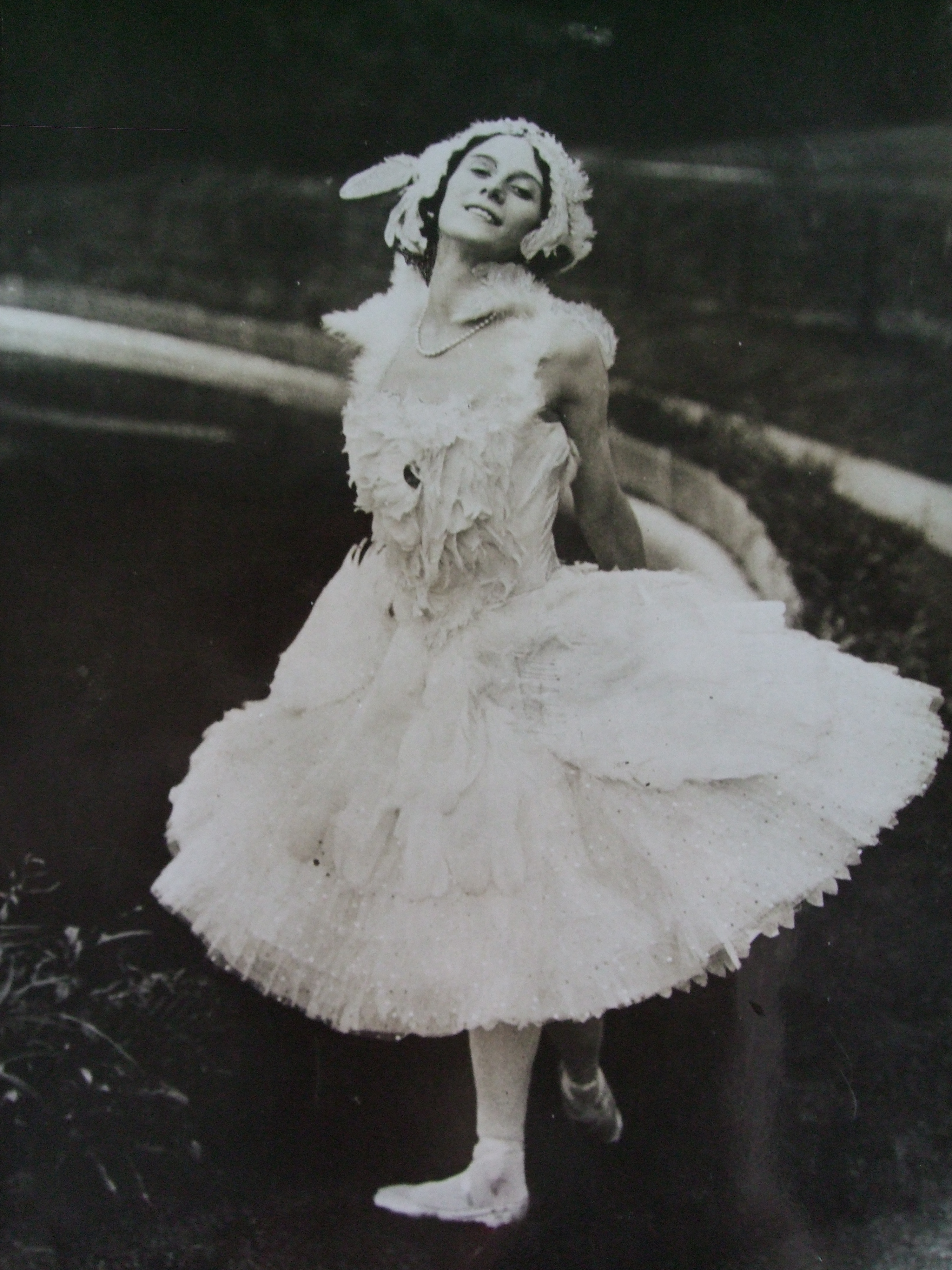 pavlova-p-166-58-16-33